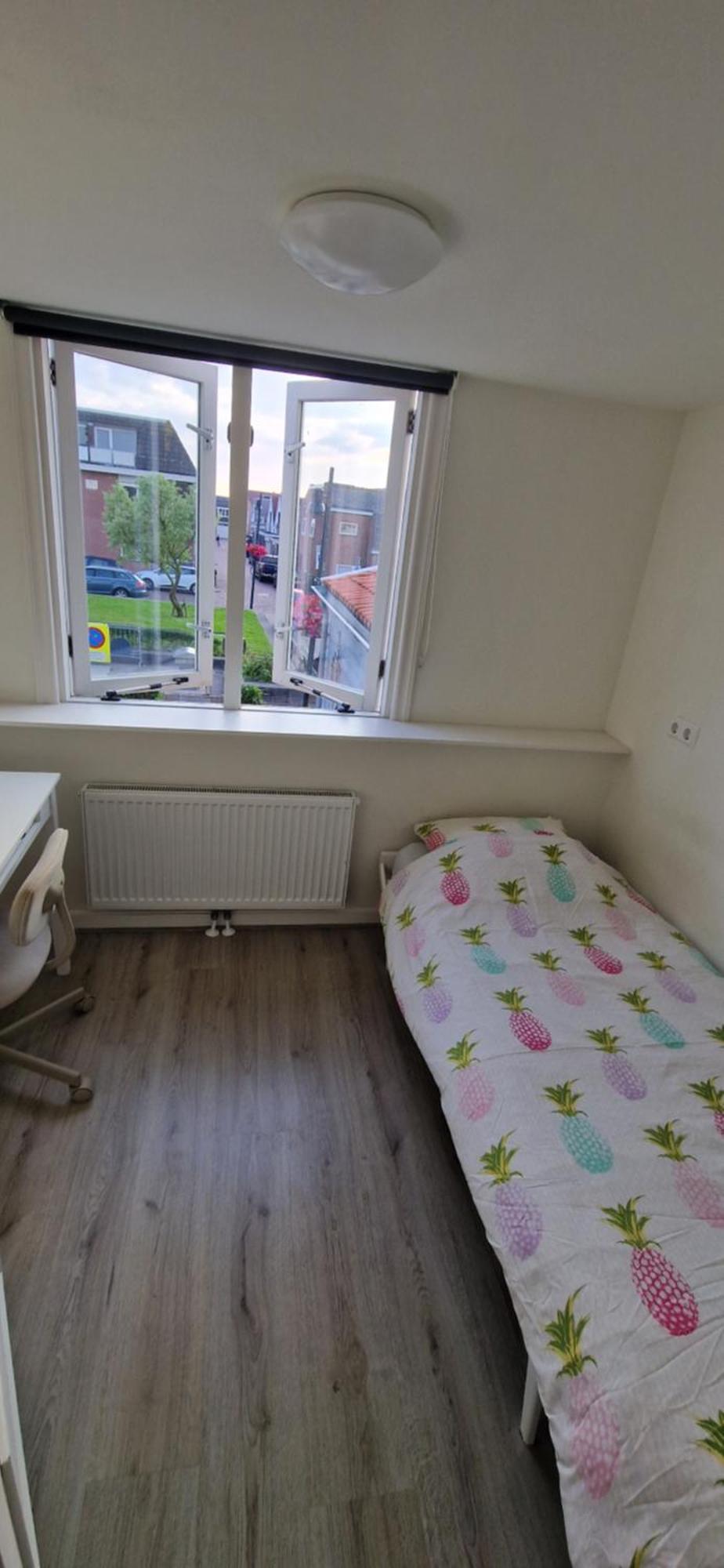 Der Springbrunnen Villa Egmond aan Zee Luaran gambar